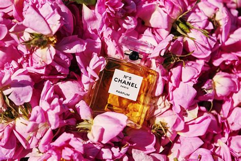 chanel flower perfume|Chanel 120 gold dipped roses.